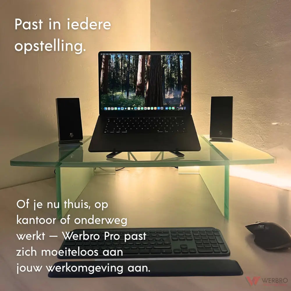 Werbro PRO - Ergonomische Laptop standaard (11-17 inch)